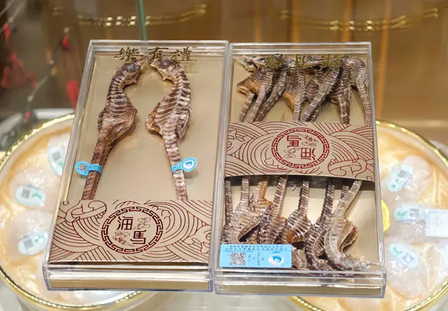 干海马礼盒装