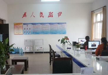政务业案例