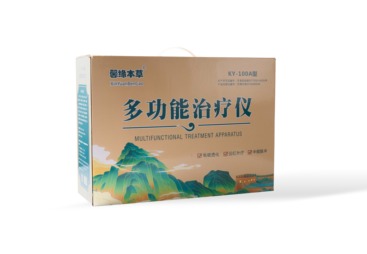 成都市YK-100A多功能治疗仪