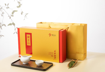 龙雅