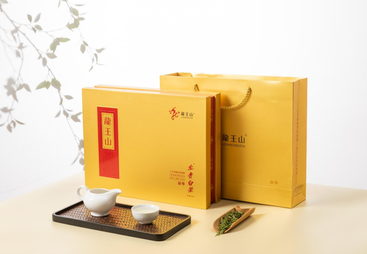 龙尊