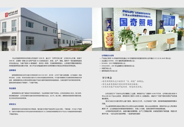 国奇照明