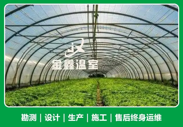 薄膜连栋温室