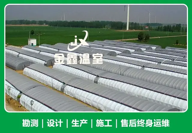 薄膜连栋温室