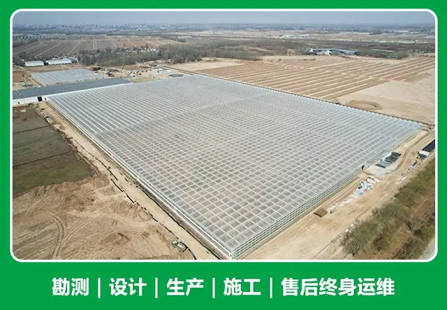 荷兰正压通风温室