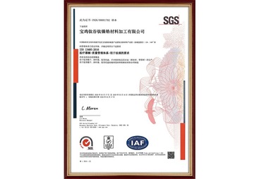 ISO 13485:2016（中文）