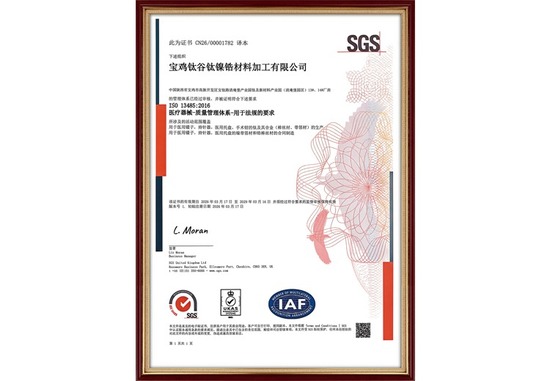 ISO 13485:2016（中文）
