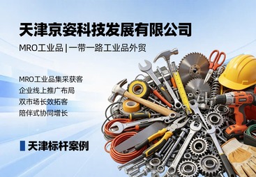 天津标杆案例-天津京姿科技发展有限公司
