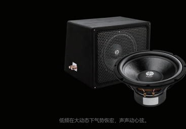 江岸区大提琴 VL10B 超低音