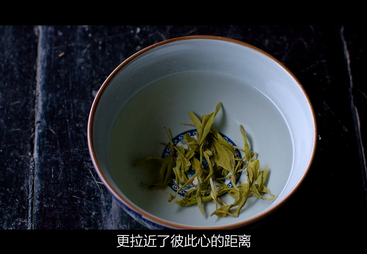 《神韵大湘西 生态潇湘茶》系列纪录片&mdash;&mdash;新宁野茶
