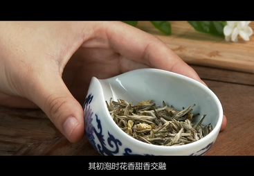 《神韵大湘西 生态潇湘茶》系列纪录片&mdash;&mdash;桑植白茶