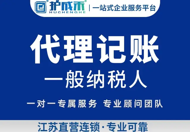 代理记账（一般纳税人）