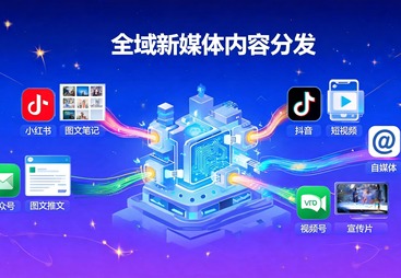 全域新媒体运营