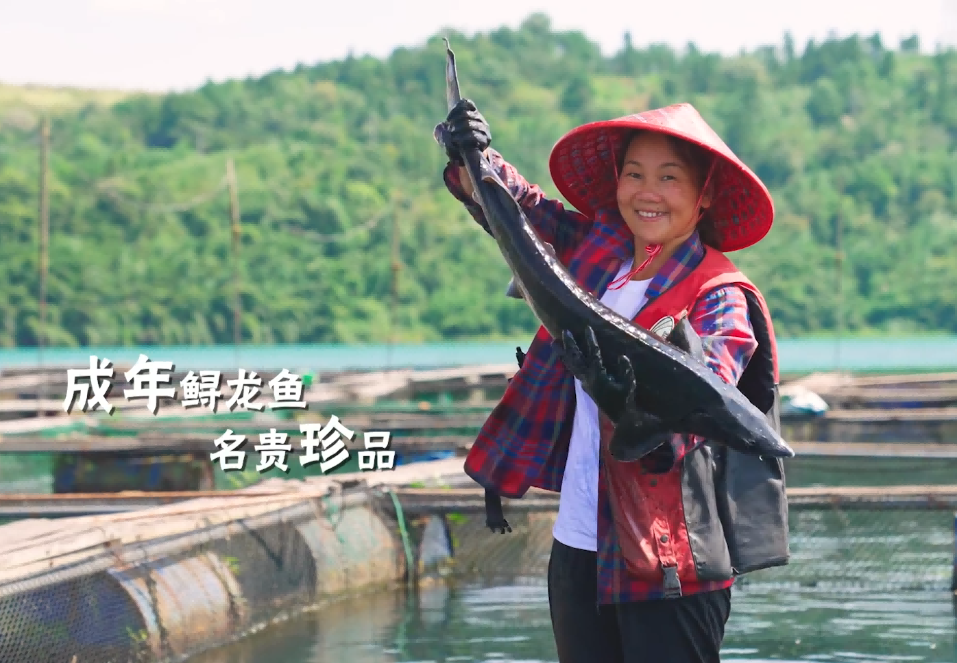 《饭怕鱼&middot;十二道鱼鲜 道道都好吃》