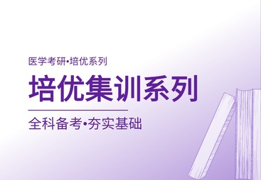培优集训系列