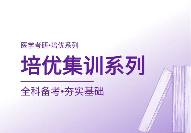 培优集训系列