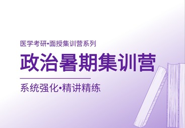 政治暑期集训营