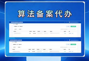 算法备案/大模型备案