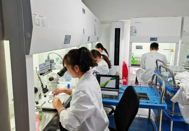 人参果全产业链农业技术服务