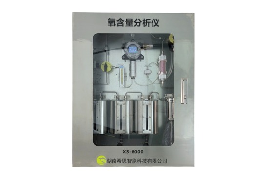 氧含量分析仪