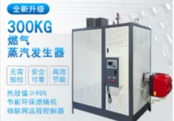 300KG燃气蒸汽发生器
