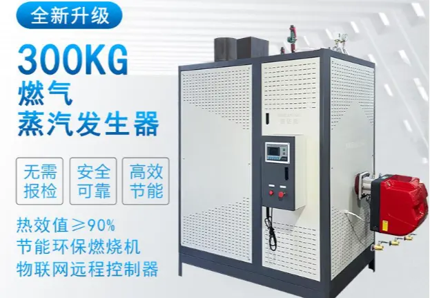 300kg燃气蒸汽发生器