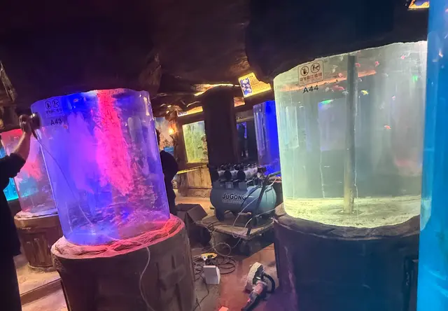 鱼缸