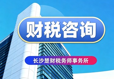 财税咨询
