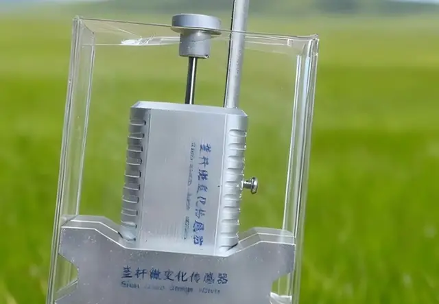 茎秆微变化传感器