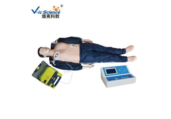 CPR急救模型