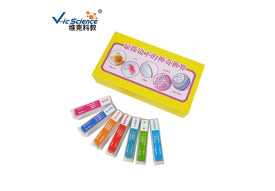 儿童切片