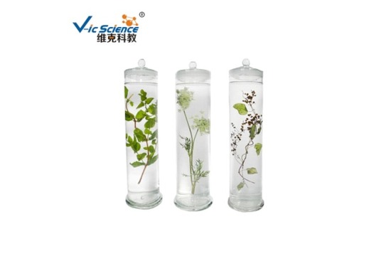 浸制生物标本