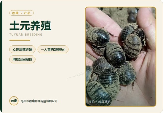 土元养殖