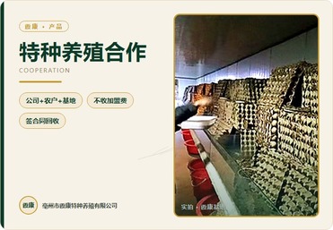 特种养殖合作