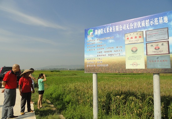 浩天米业优质稻生成基地