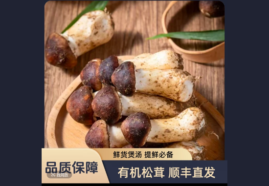 普洱市有机赤松茸松茸鲜货煲汤好食材