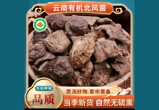 普洱市云南有机北风菌鲜货野生菌食用菌干货
