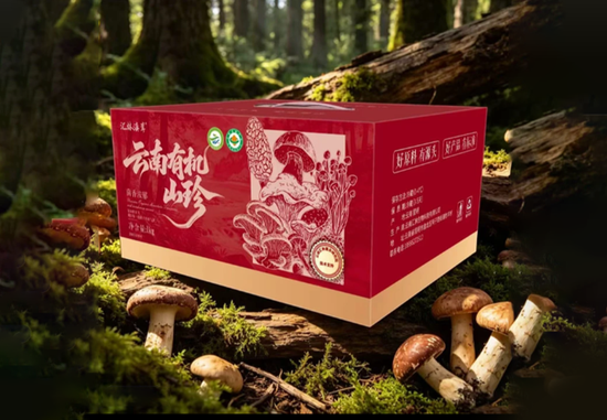 普洱市云南特色菌菇云南有机菌菇套餐野生菌食用菌鲜货现发